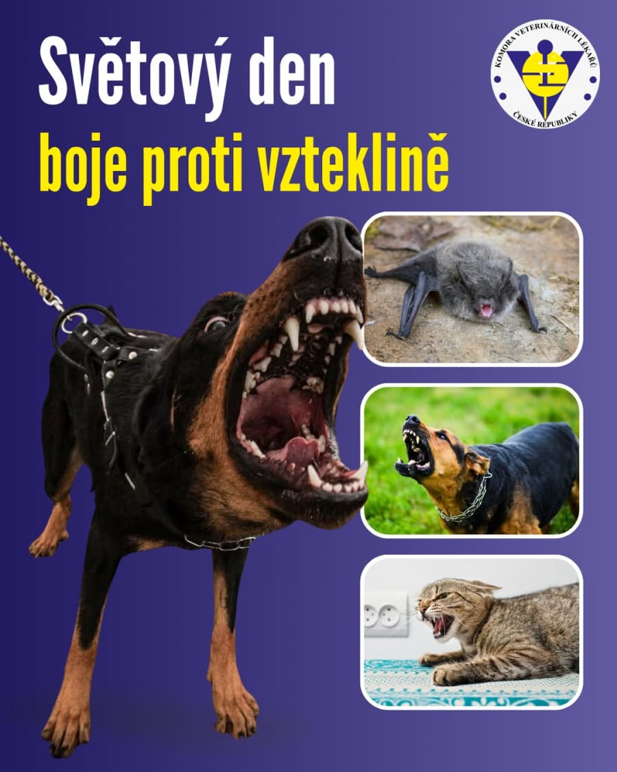 2026-09-28-vzteklina.jpg